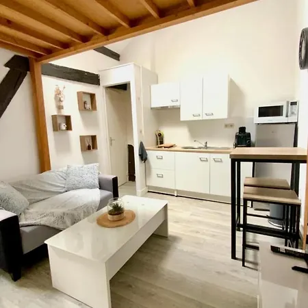 Studio With Mezzanine Lejlighed *